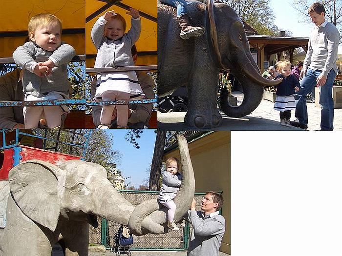 schönbrunn elefant